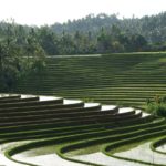 GREEN LANDSCAPE DRIVING OF PUPUAN WEST BALI ROUTE.