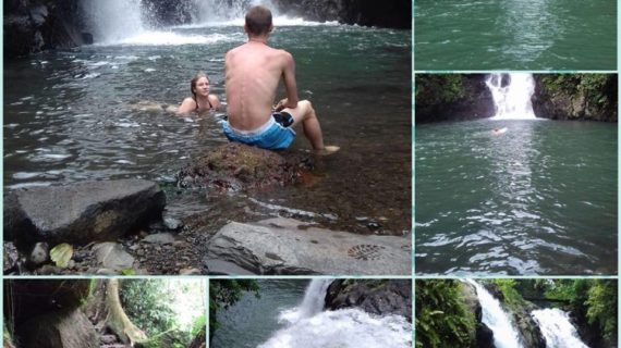 Dolphin Tour and Waterfall Activities in Lovina