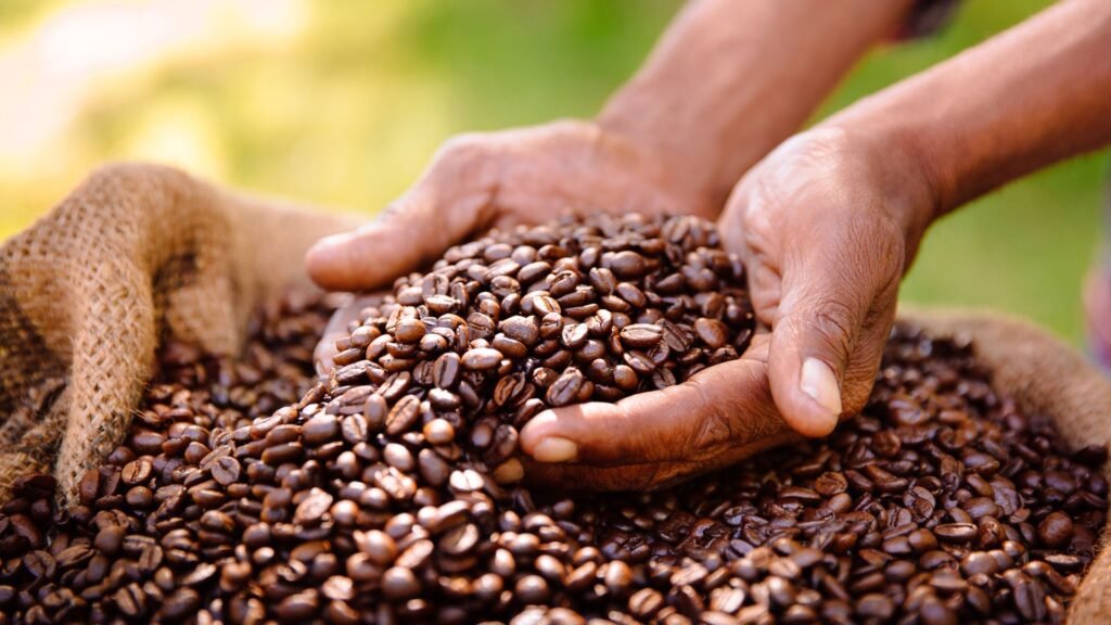 Coffee plantation in mun duk village